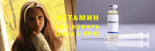 твердый Дмитровск