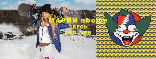 твердый Дмитровск