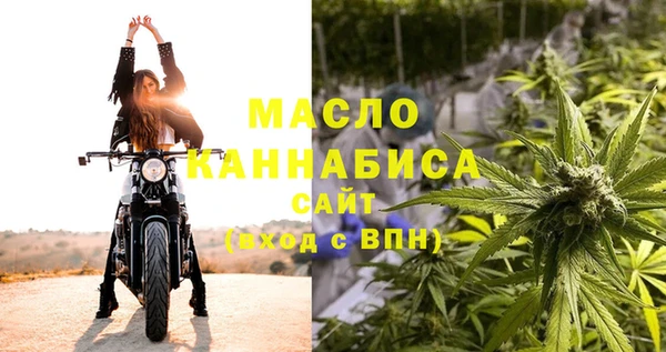 твердый Дмитровск