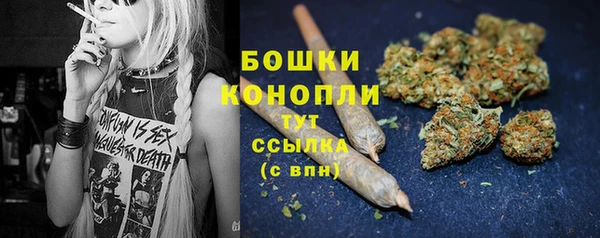 трава Дмитров
