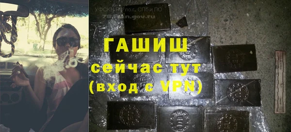 твердый Дмитровск