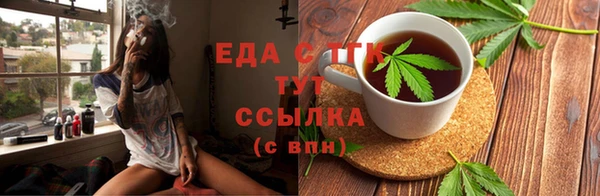 стаф Тутаев