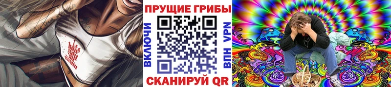 где найти   Чехов  Псилоцибиновые грибы Psilocybe 